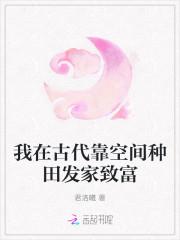 我在古代靠手机发家致富