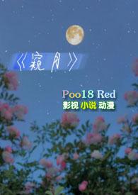 窥光 在线阅读