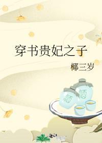 穿书贵妃之子txt