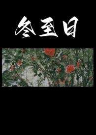 冬至日苏轼古诗