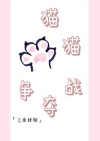 猫咪争霸