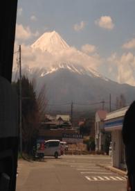 旅人蕉百度百科