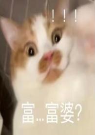 凋零背后的故事