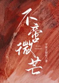 不啻微芒的成语意思