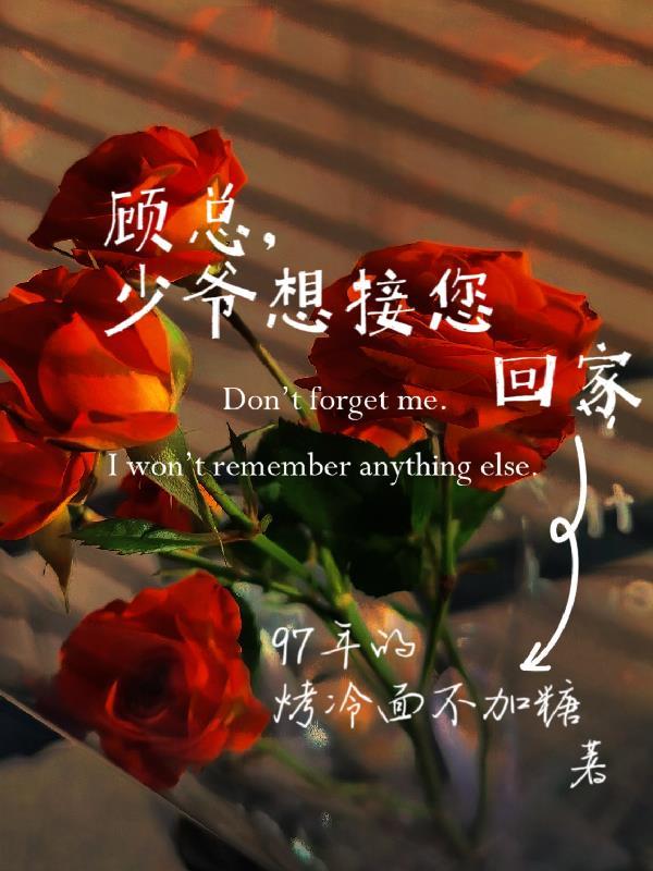 顾家少爷的甜妻