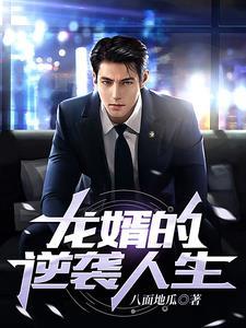 龙婿笔趣阁全文阅读