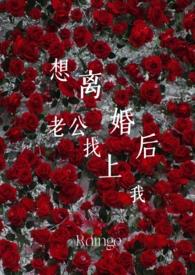 我想离婚啦