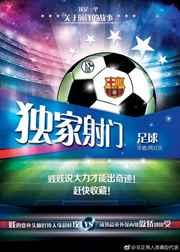 足球经典射门集锦