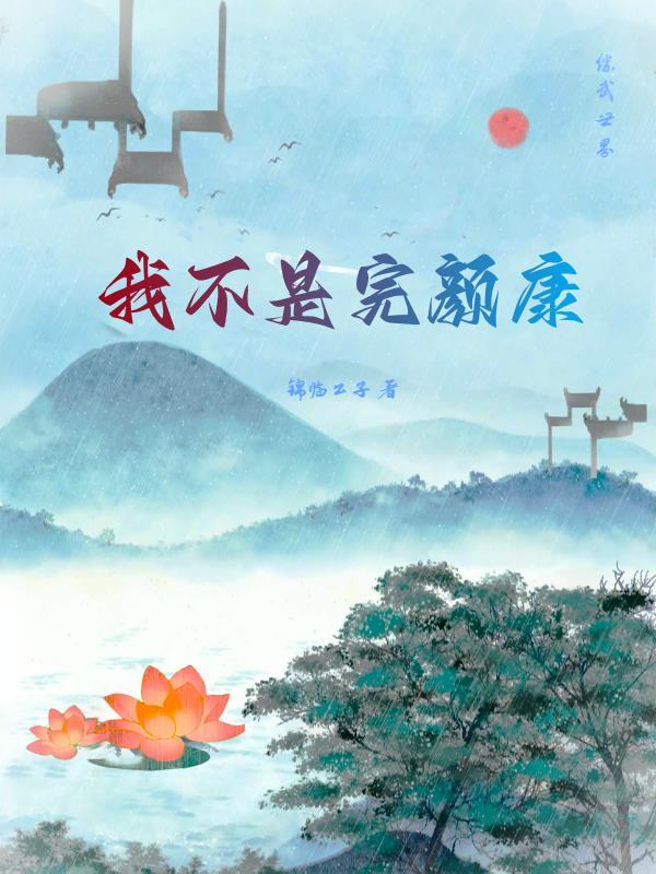 综武之我不是完颜康 锦临公子