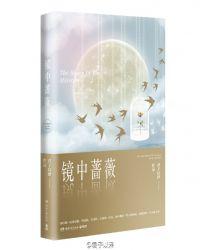 镜中蔷薇有声书免费听