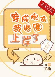 穿成炮灰我退圈上岸了番外