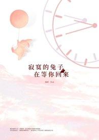 寂寞的兔子在等你回来在线阅读