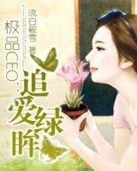 极品ceo追爱绿眸txt
