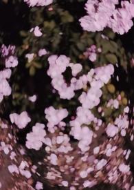 西沉寂静地 (校园 h)_全文在线阅读_骨跃