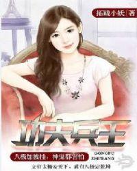 功夫兵王特种兵