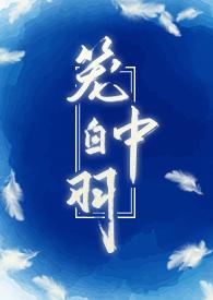 笼中白羽免费阅读无弹窗