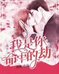 你是我命中的劫免费全文