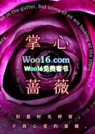 手心的蔷薇全文免费