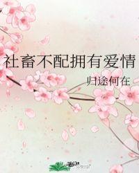 社畜不配拥有爱情文野格格党