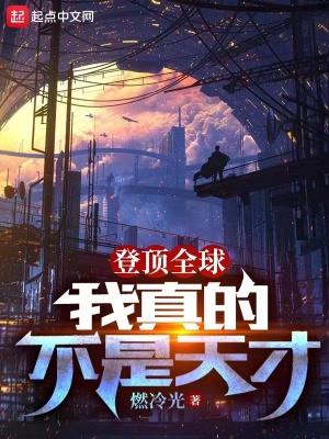 登顶全球我真的不是天才 燃冷光