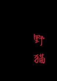 野猫(1v1 H)最
