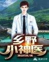 乡野小神医视频全集