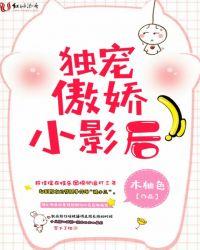 独宠傲娇小夫郎女尊