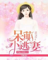 邪魅总裁的小甜心