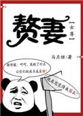 赘妻(女尊)讲什么