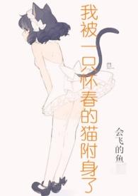 我被怀春的猫附身了宁小段