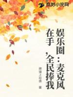 明星专属麦克风