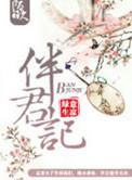 伴君记 好看吗