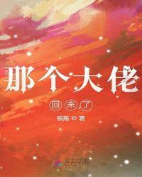 那个大佬回来了 银瓶