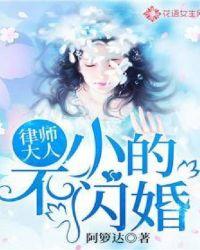 律师大人惹不得