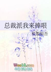 总裁派我来捧哏免费阅读