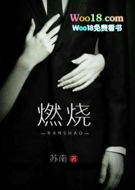 燃烧高干文 苏南