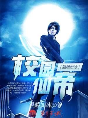 校园仙帝传承作者宁涛简介