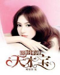 傲娇爹地天才宝大结局