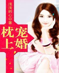 枕上宠婚无弹窗