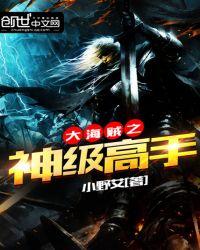 海贼之神级玩家免费阅读