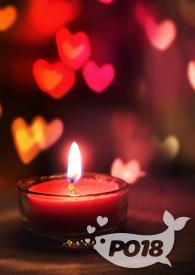 对你上瘾追书神器