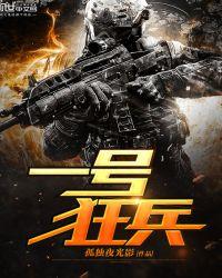 一号狂兵2免费阅读全文