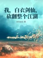 白衣剑倾讲的什么