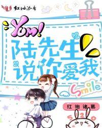 陆先生爱你终成劫免费阅读