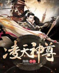凌天神尊免费阅读
