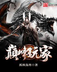 巅峰玩家笔记本售后