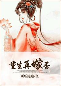 再嫁重生txt
