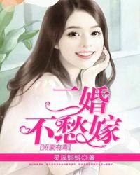 二婚娇妻太缠人