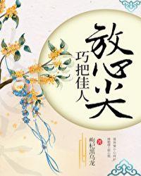 巧把佳人放心尖全文阅读