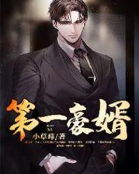 电子书第一豪婿